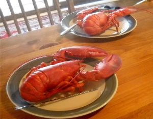 Lobsters Ready to Eat